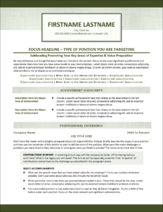 Resume Template for Professional Jobs Page 1