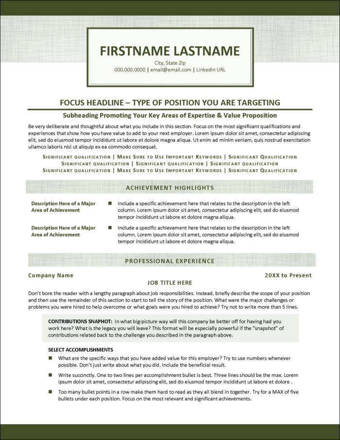 Resume Template for A Professional Job Page 1
