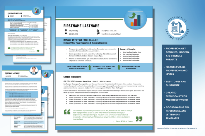 Sales Resume Template Image 1
