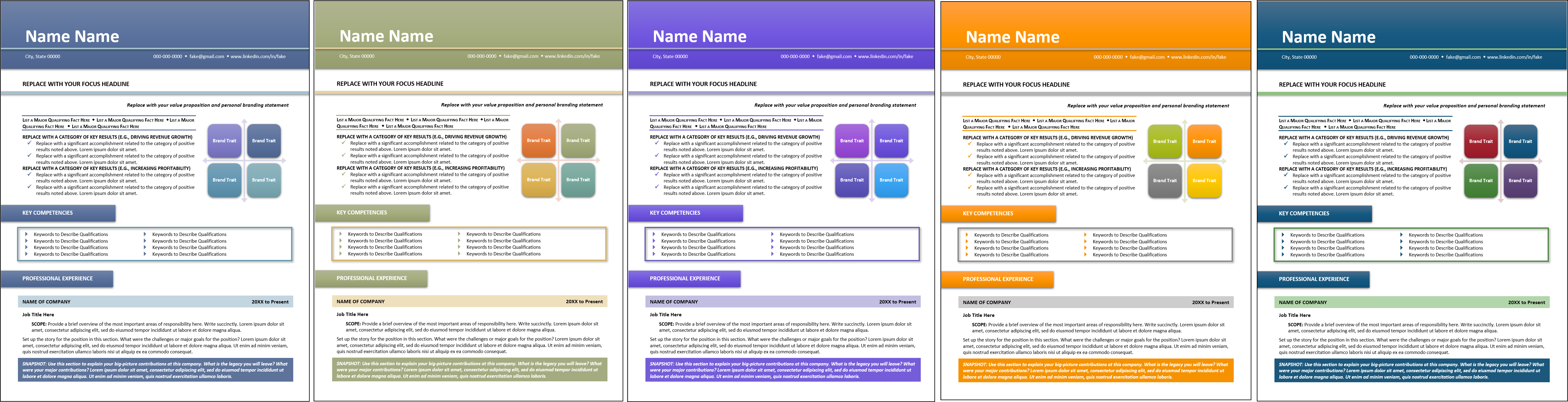 infographic style resume template color choices