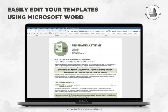 Accounting Resume Template for Word 10