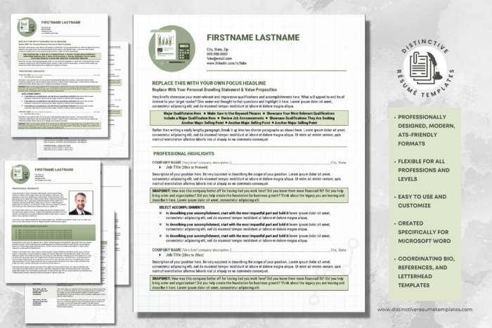 Accounting Resume Template for Word 2