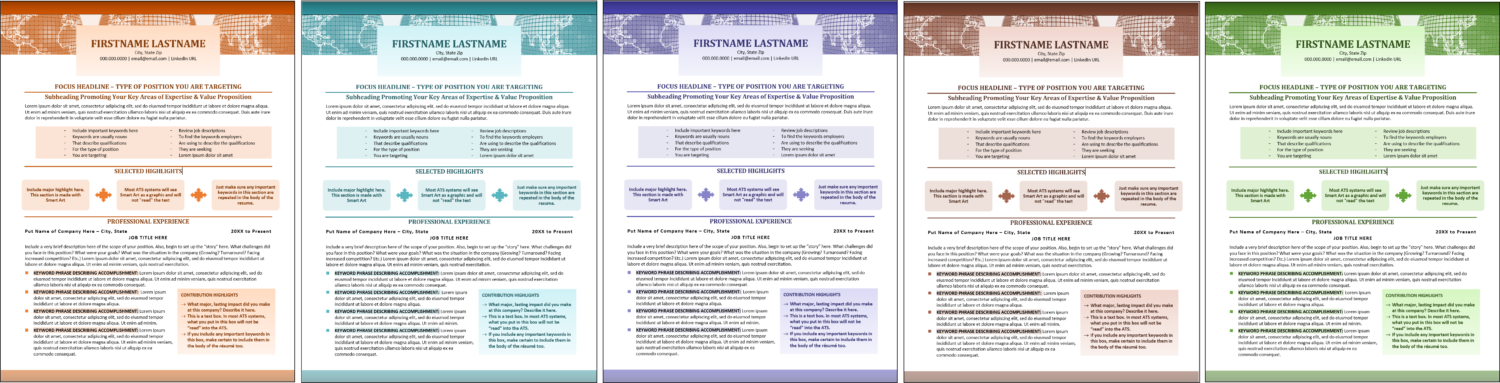 International Business Resume Template Color Options
