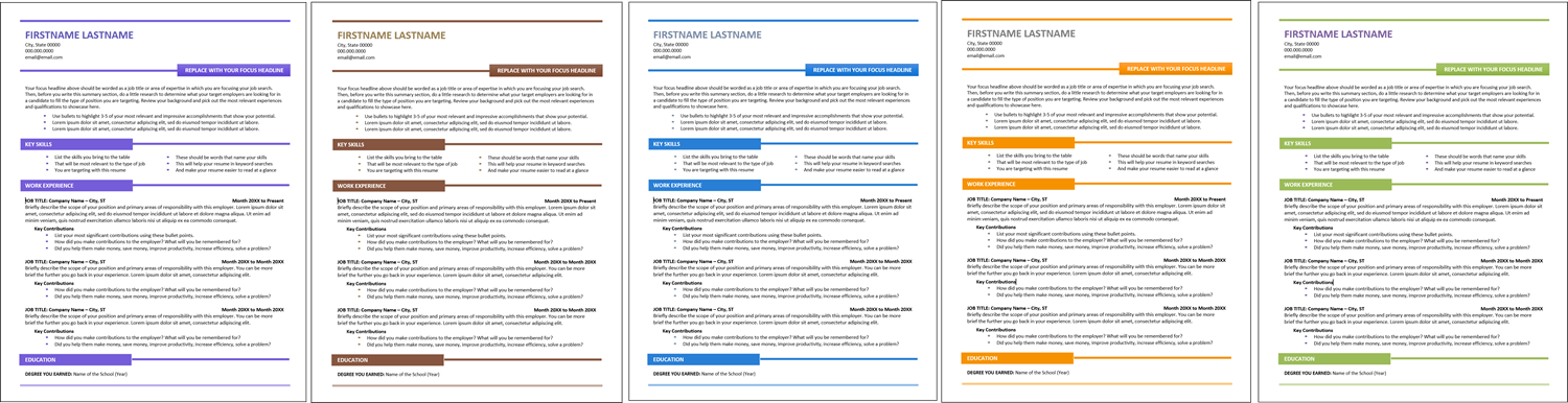 blue collar resume template color options