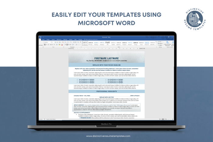 resume template for executive leaders 10