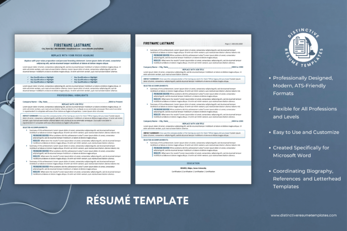 resume template for executive leaders 2