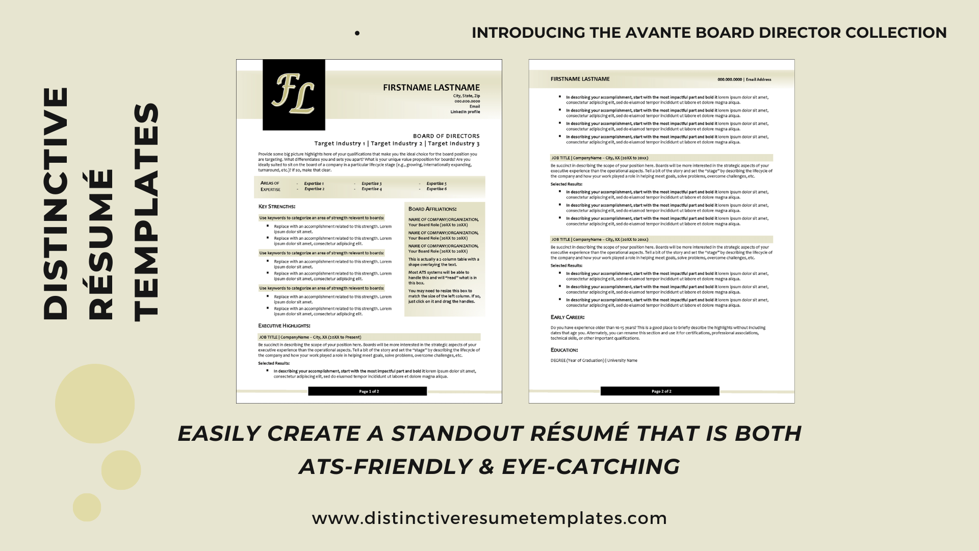 custom-designed-board-director-resume-template