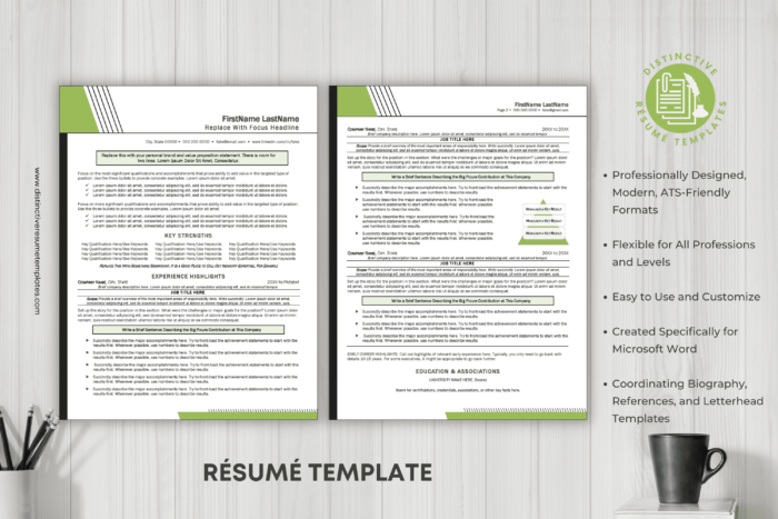 eye catching resume template 2