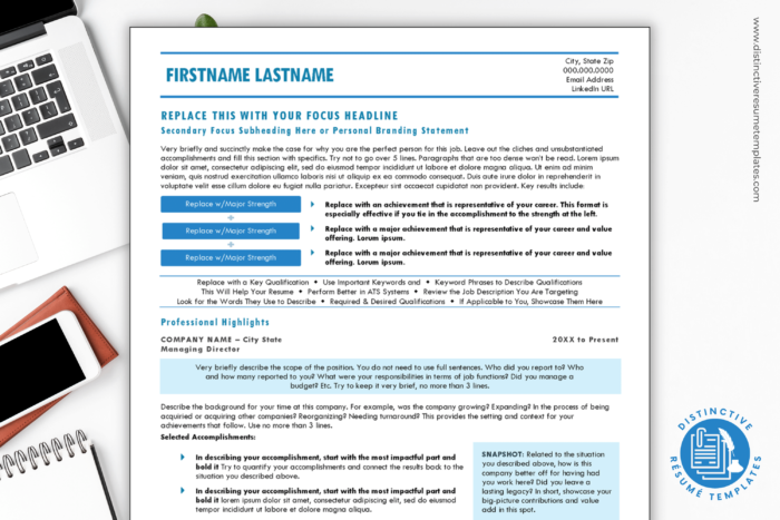 chronological resume template 1