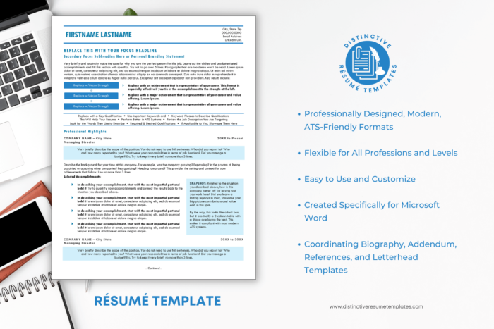 chronological resume template 2