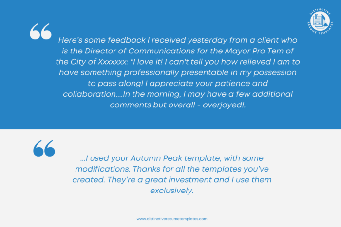 chronological resume template 6