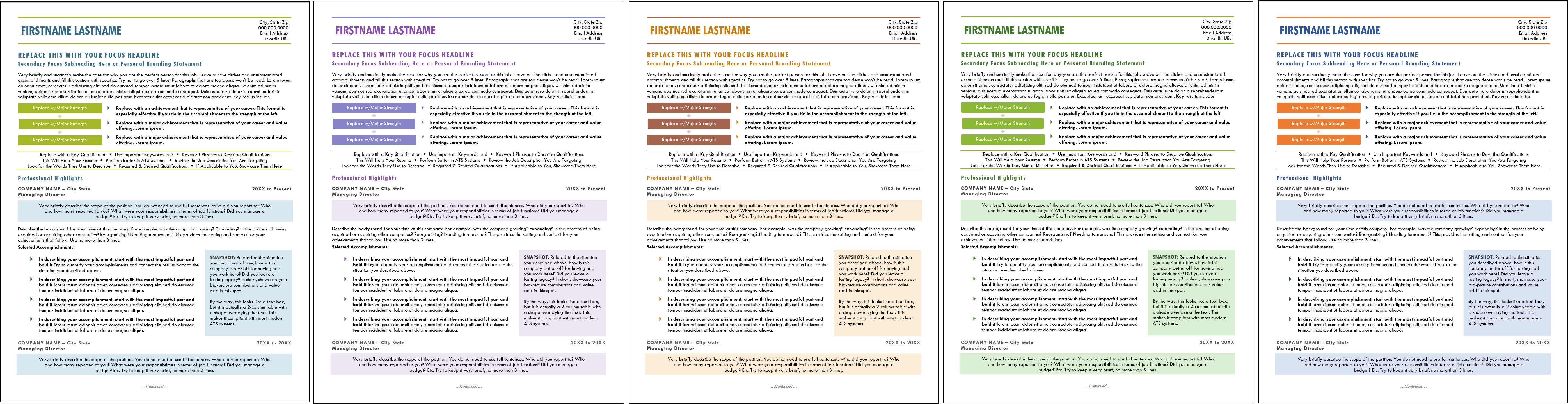 chronological resume template color options