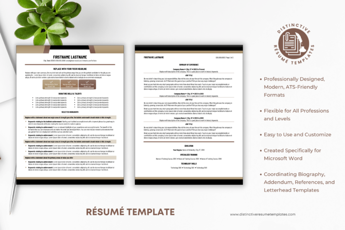 skills based resume template 2
