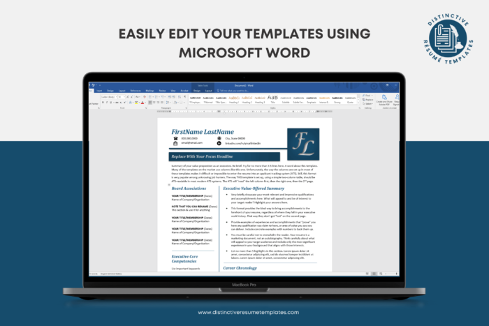 resume template for senior executives 10