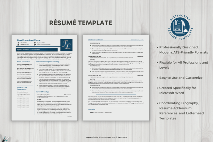 resume template for senior executives 2