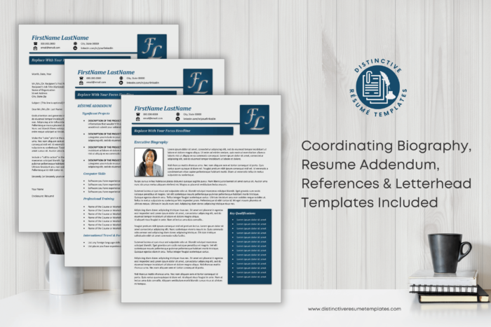 resume template for senior executives 4