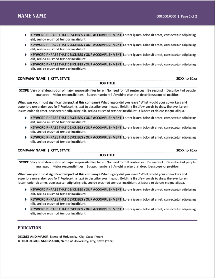 C Suite Resume Template Page 2