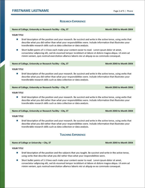 Professional CV Page 2