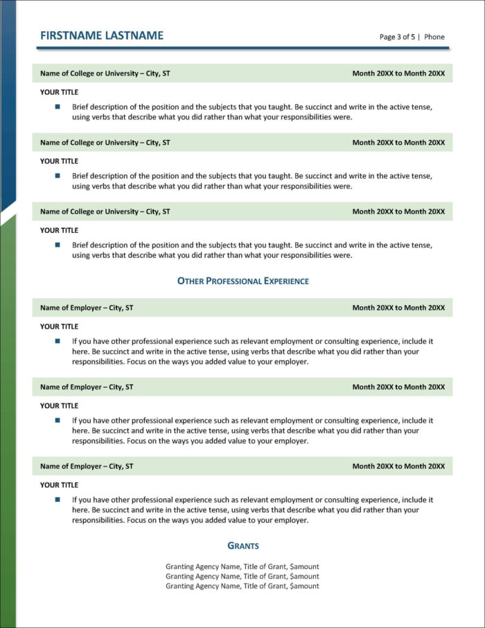 Professional CV Page 3