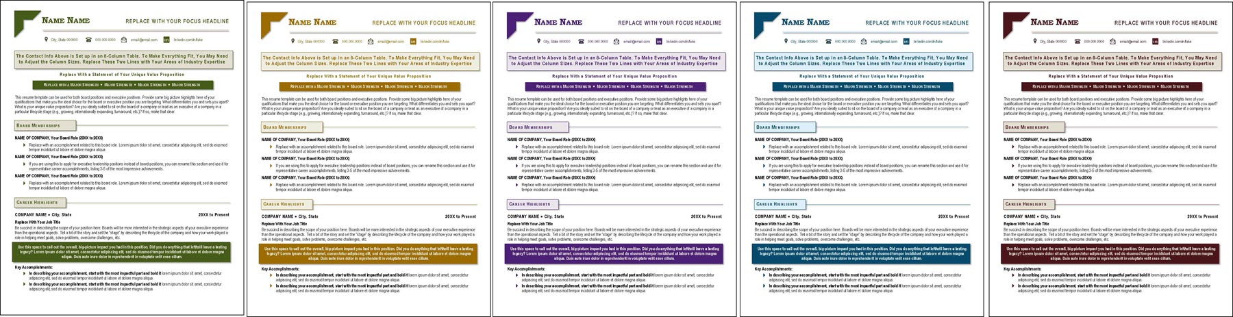 Resume for Board of Directors Color Options