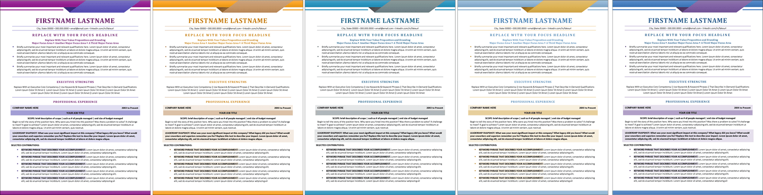 Business Executive Resume Colors Options