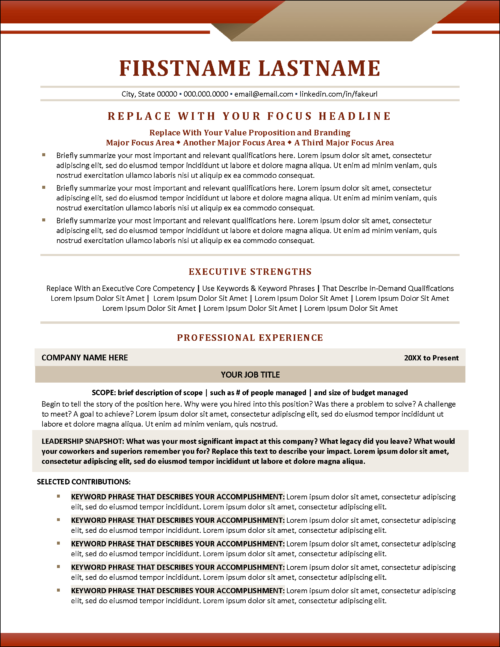Businesswise Executive Resume Page 1