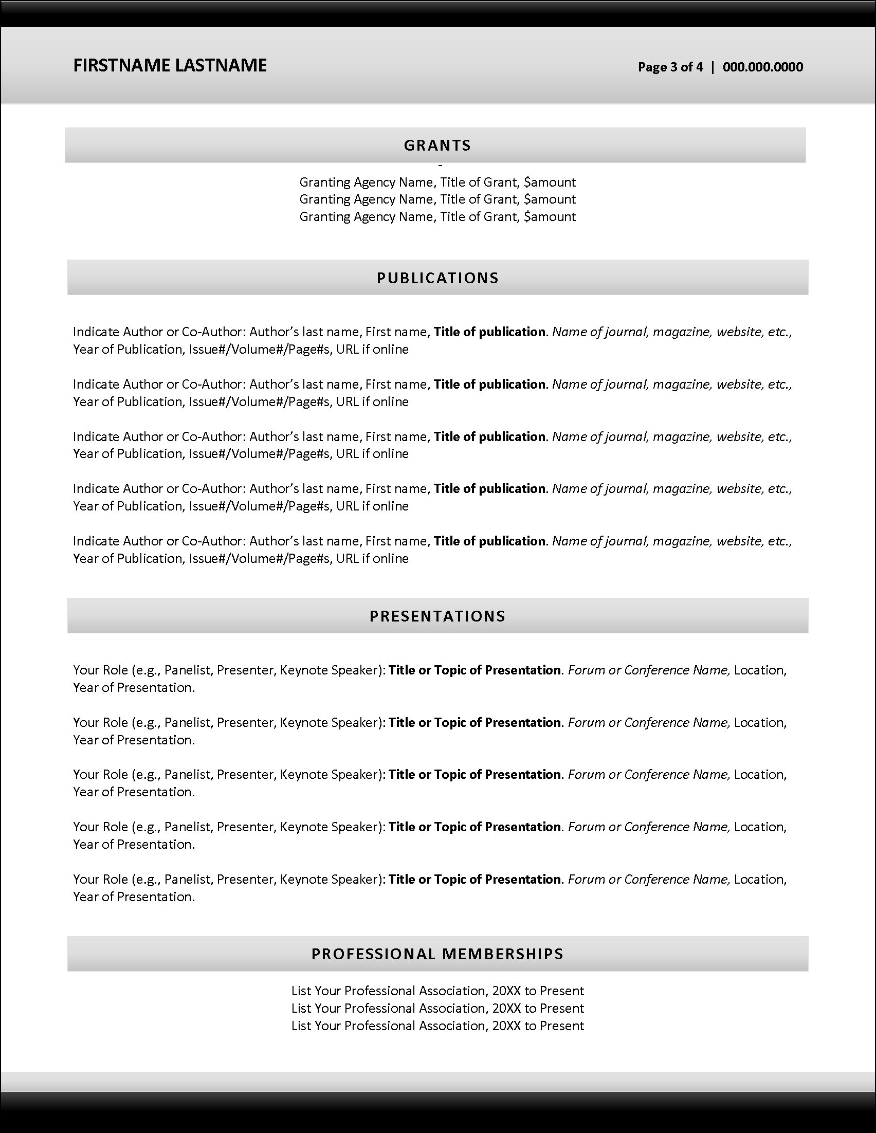 Conservative CV Template Page 3