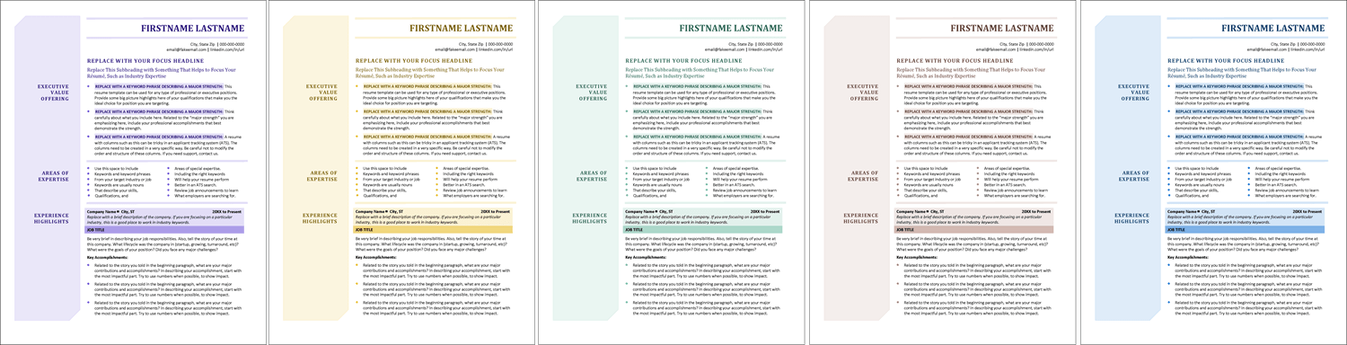 Elegant Executive Resume Color Options