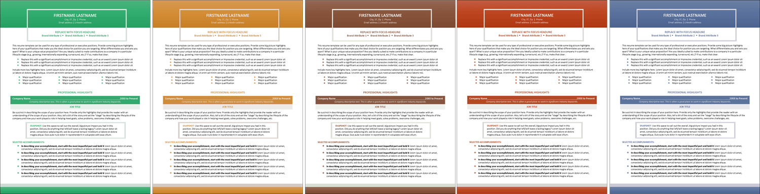 Sophisticated Executive Resume Color Choices