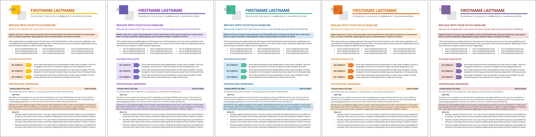 Stylish Resume Format Colors