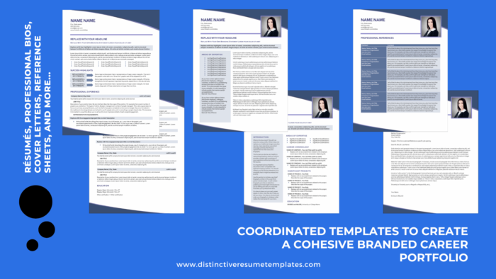 CareerSwell Coordinating Career Templates