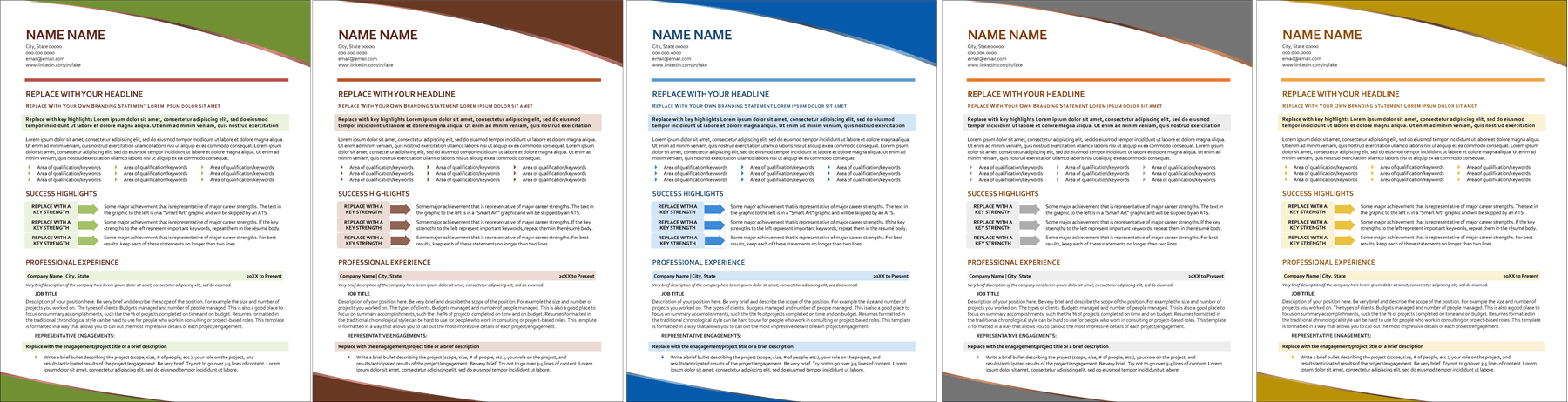 resume for project management colors