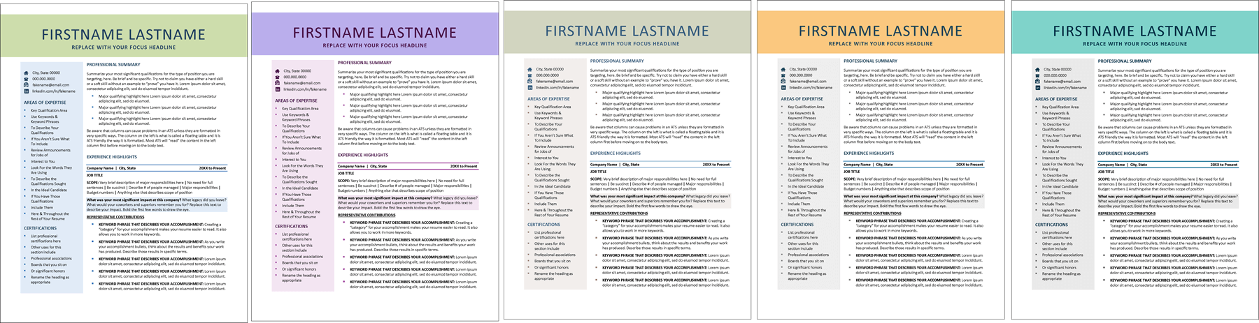 Elegant Edge Resume Color Options