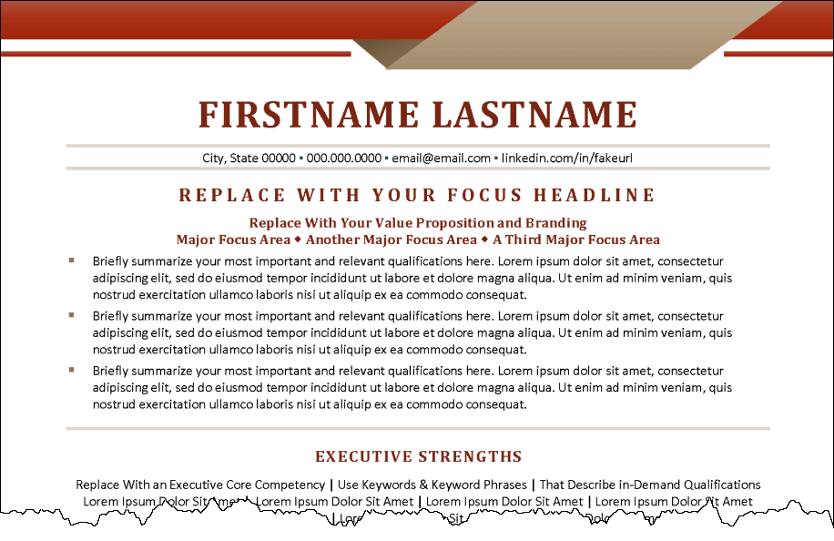 resume summary example 3