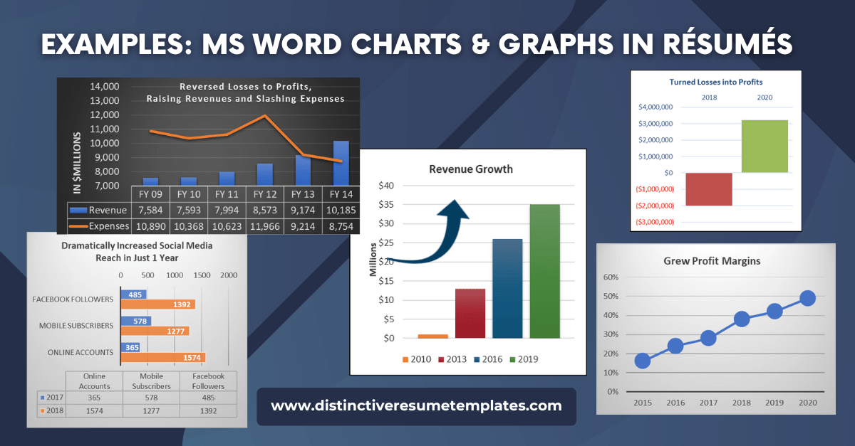 Examples of using ms word charts and graphs in resumes