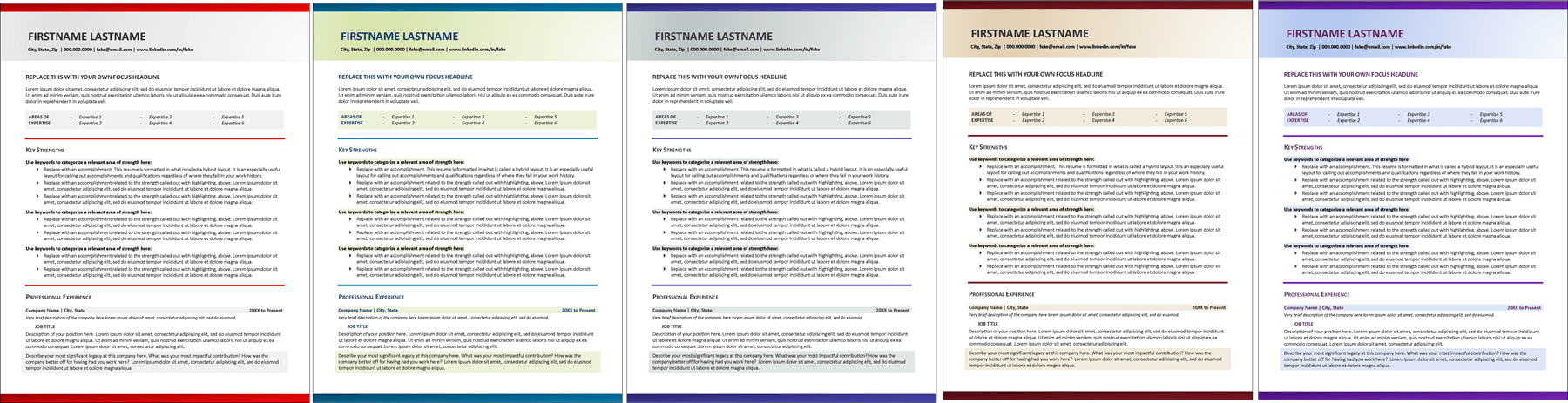 Hybrid Resume Layout Colors