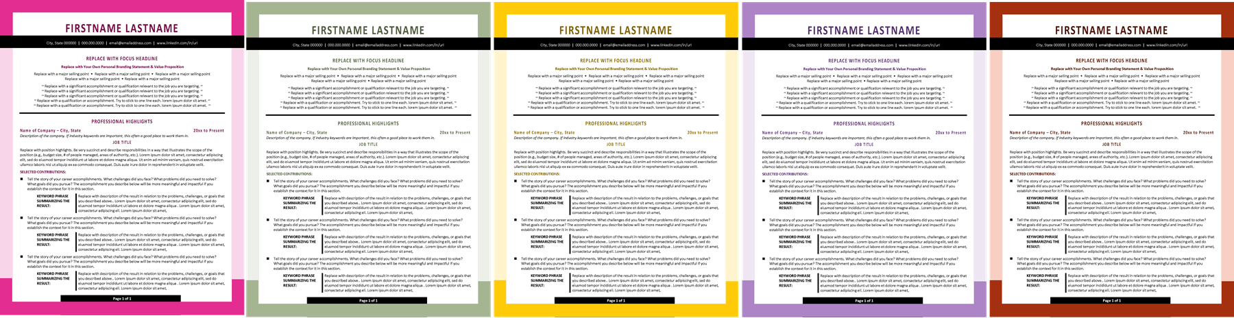 Professional Modern Resume Template colors