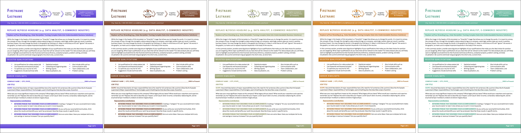 Data Analyst Resume Color Palette Options