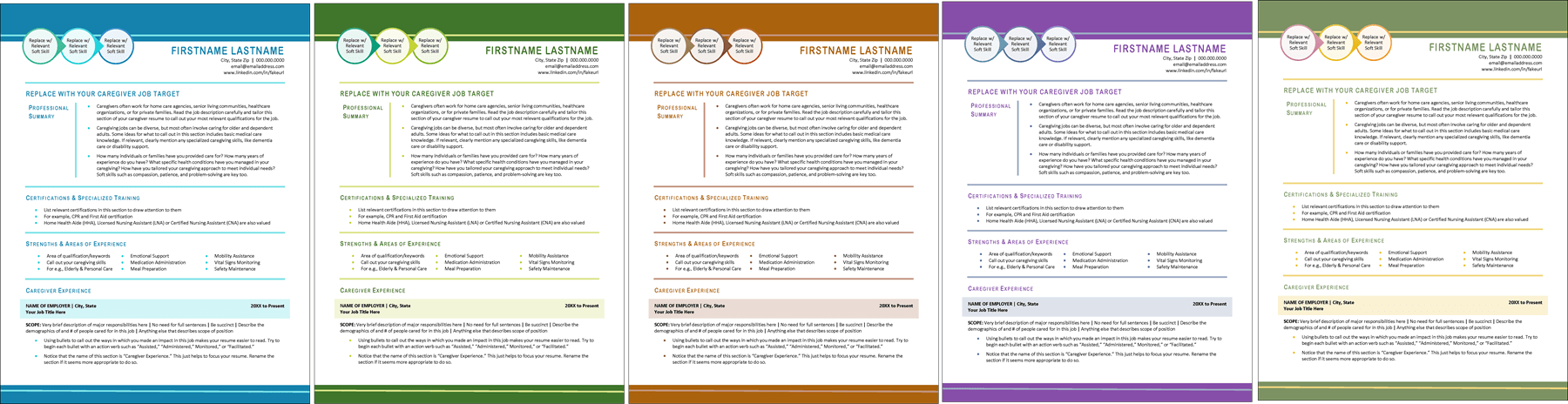 Caregiver Resume Color Options