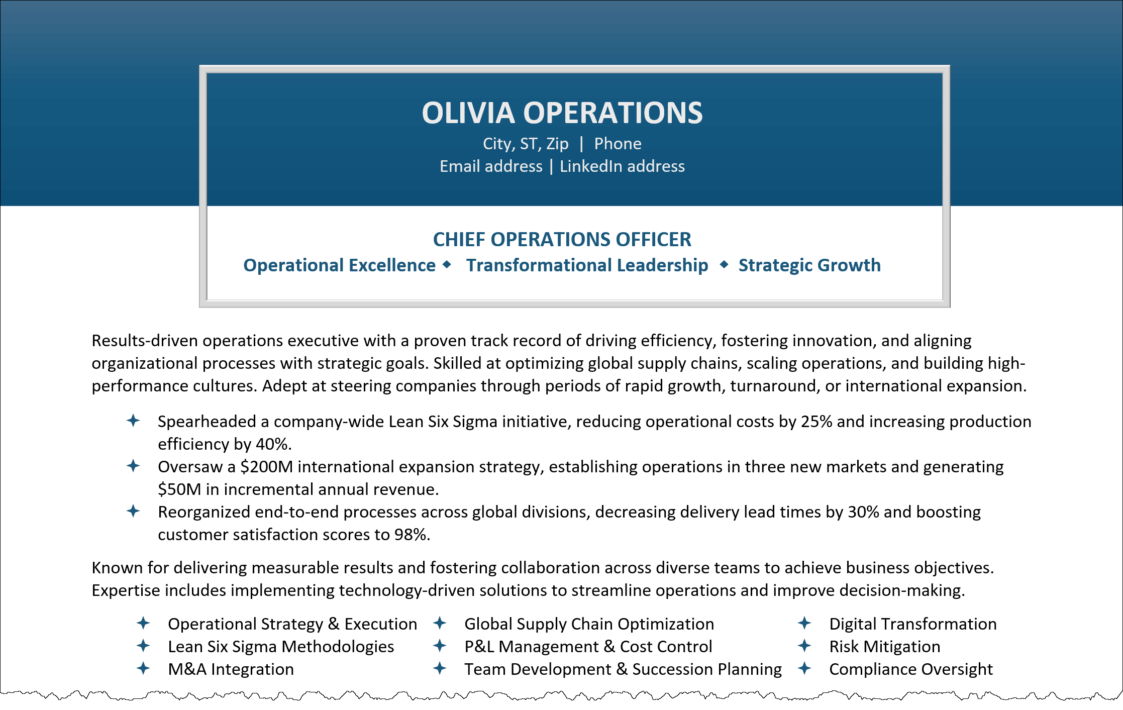 COO Resume Professional Summary Example COO Resume Professional Summary Example