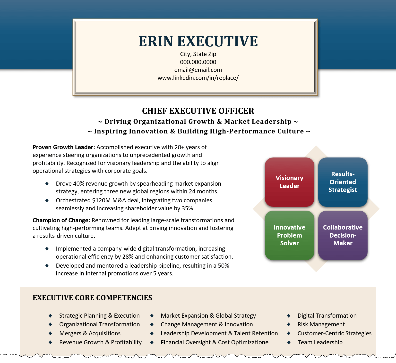 Executive Resume Professional Summary Example Executive Resume Professional Summary Example