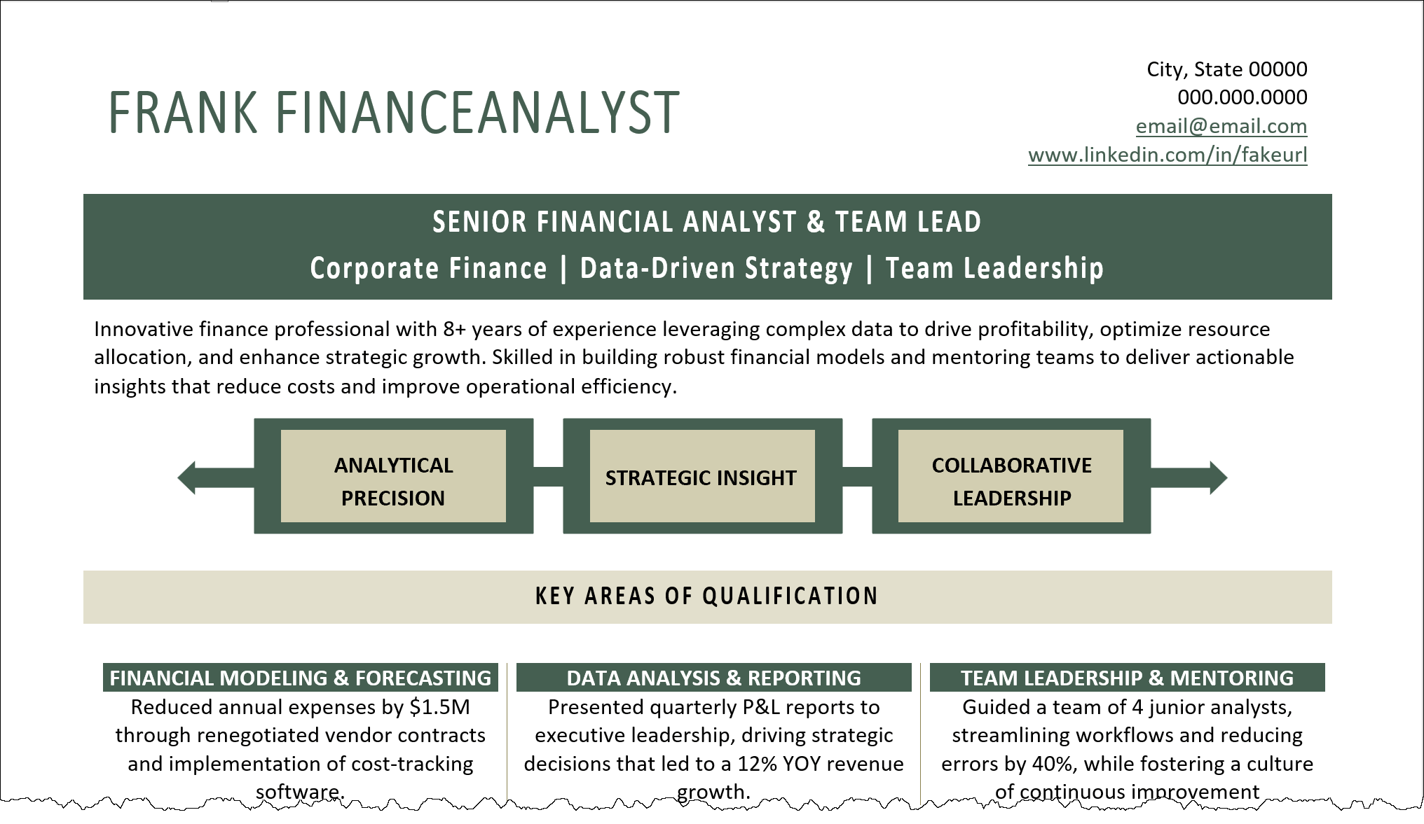 Resume Summary Example for Finance Analyst Resume Summary Example for Finance Analyst