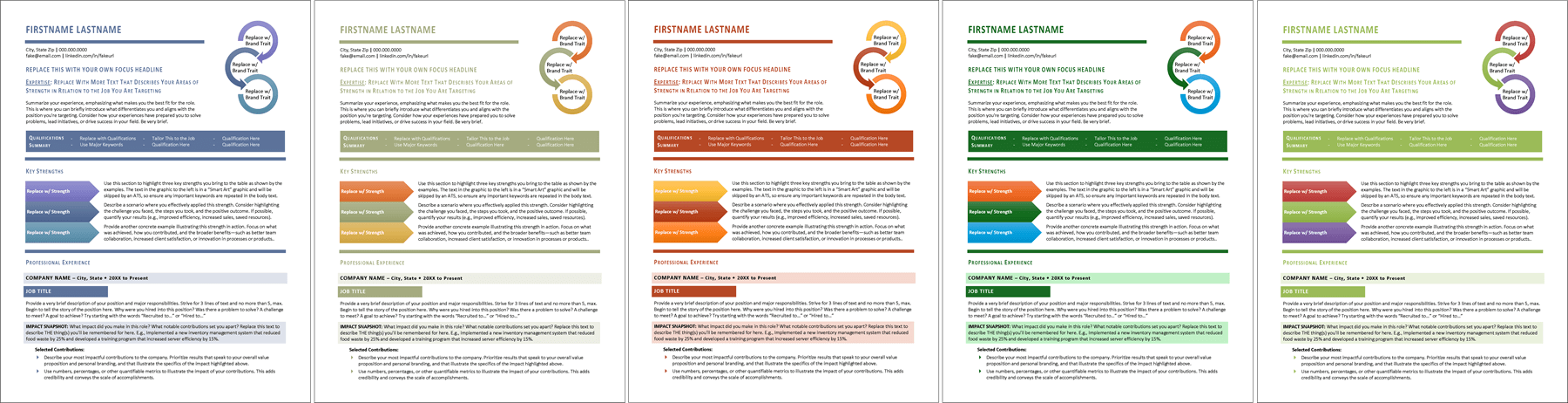 professional format resume color options