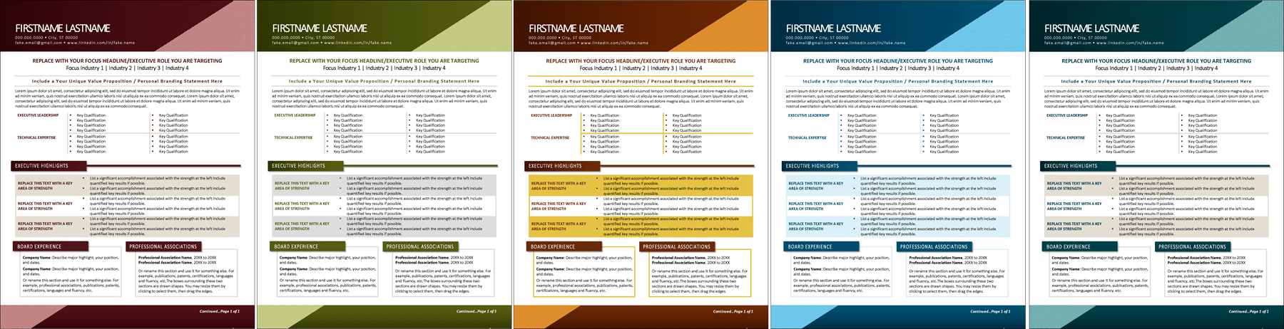 C level Executive Resume Color Themes