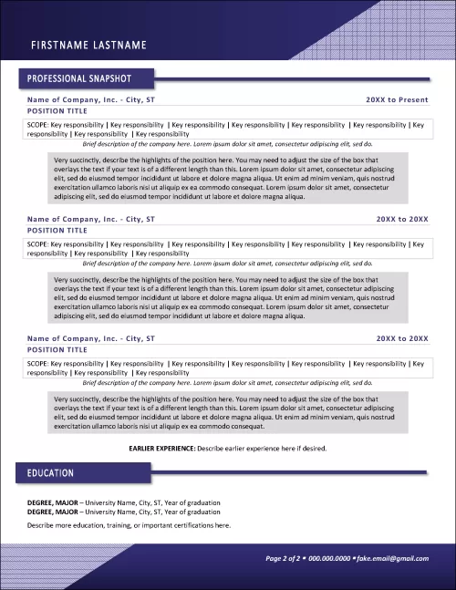 Pinnacle C level Executive Resume Page 2