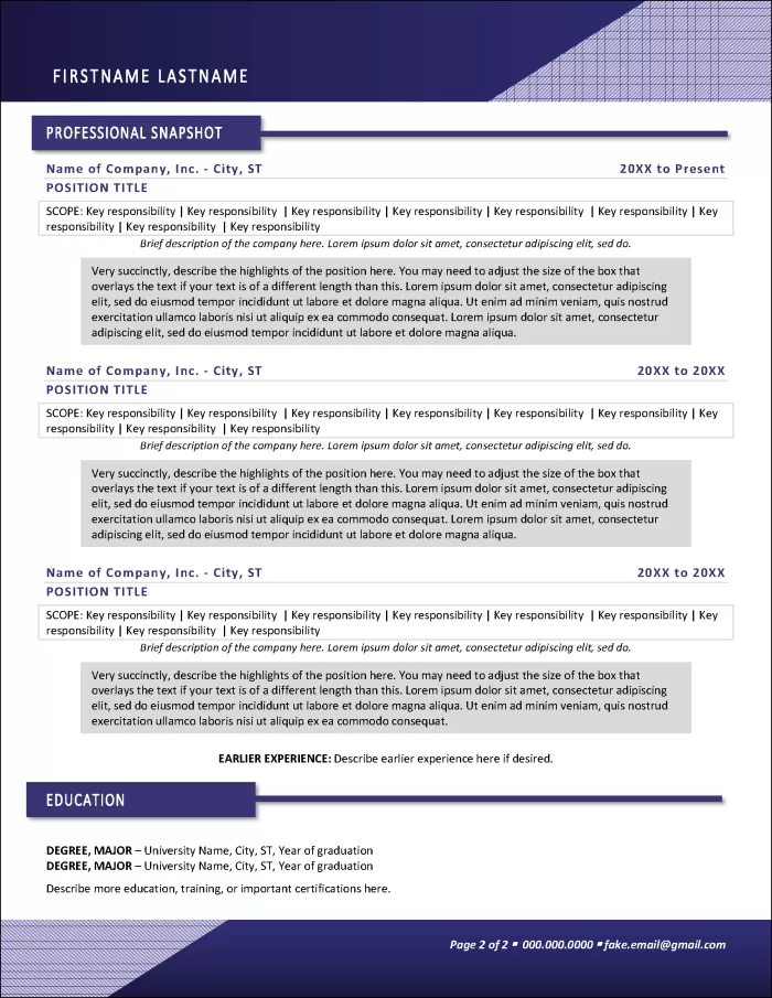Pinnacle C level Executive Resume Page 2
