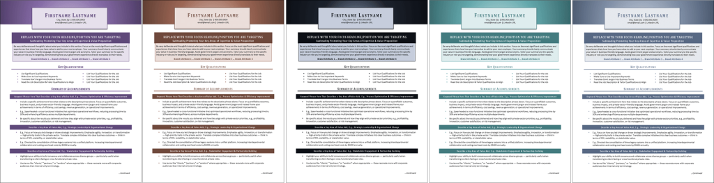 Fed2Private Resume Color Choices