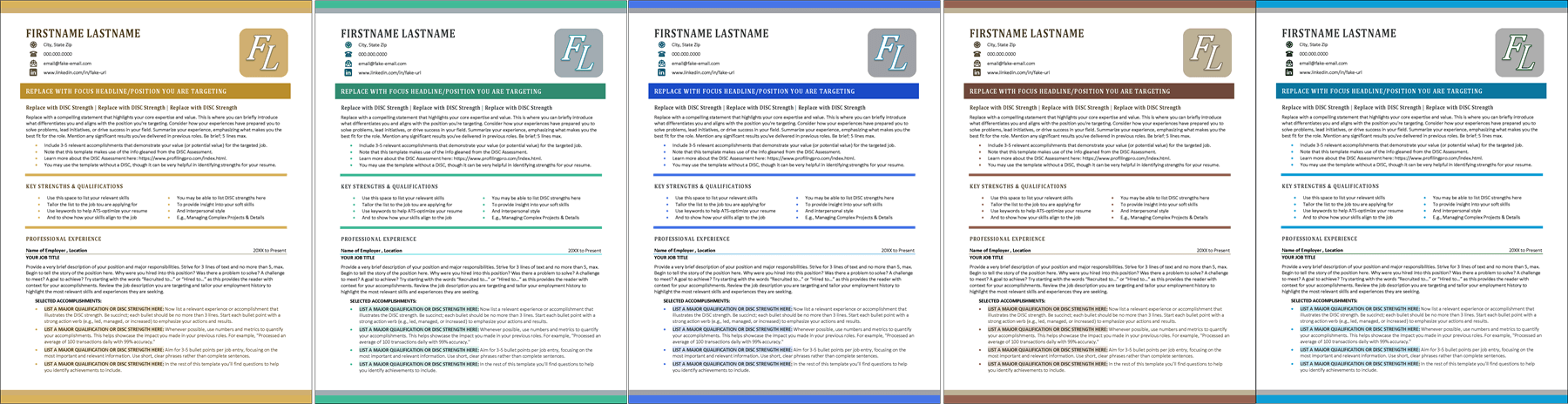 HireDISC Resume Color Options